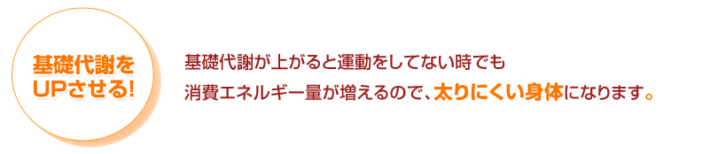 担当インストラクターがあなたに合ったトレーニングメニューを選んでくれます。痩せたい部分を中心に筋力をつけます。